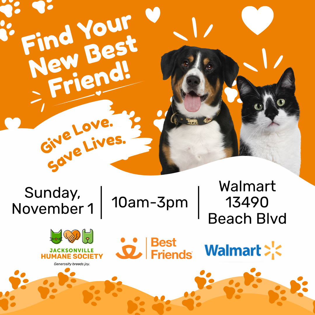 Orange and white adoption event graphic featuring a dog and cat, hearts and paw prints. Text reads “Find Your New Best Friend!” and “Give Love. Save Lives.” Event: Sunday, November 1, 10 a.m.–3 p.m. at Walmart, 13490 Beach Blvd. Jacksonville Humane Society, Best Friends and Walmart logos appear below.