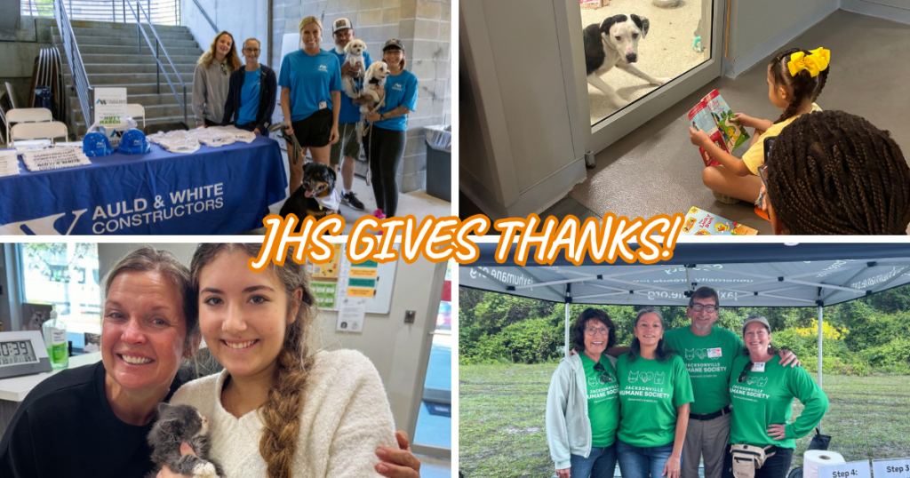 Collage of JHS supporters: a group with dogs beside an Auld & White Constructors table, children reading to a shelter dog through a window, two people holding a kitten, and four people wearing green Jacksonville Humane Society shirts. Text reads, “JHS Gives Thanks!”