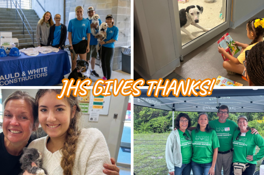 Collage of JHS supporters: a group with dogs beside an Auld & White Constructors table, children reading to a shelter dog through a window, two people holding a kitten, and four people wearing green Jacksonville Humane Society shirts. Text reads, “JHS Gives Thanks!”