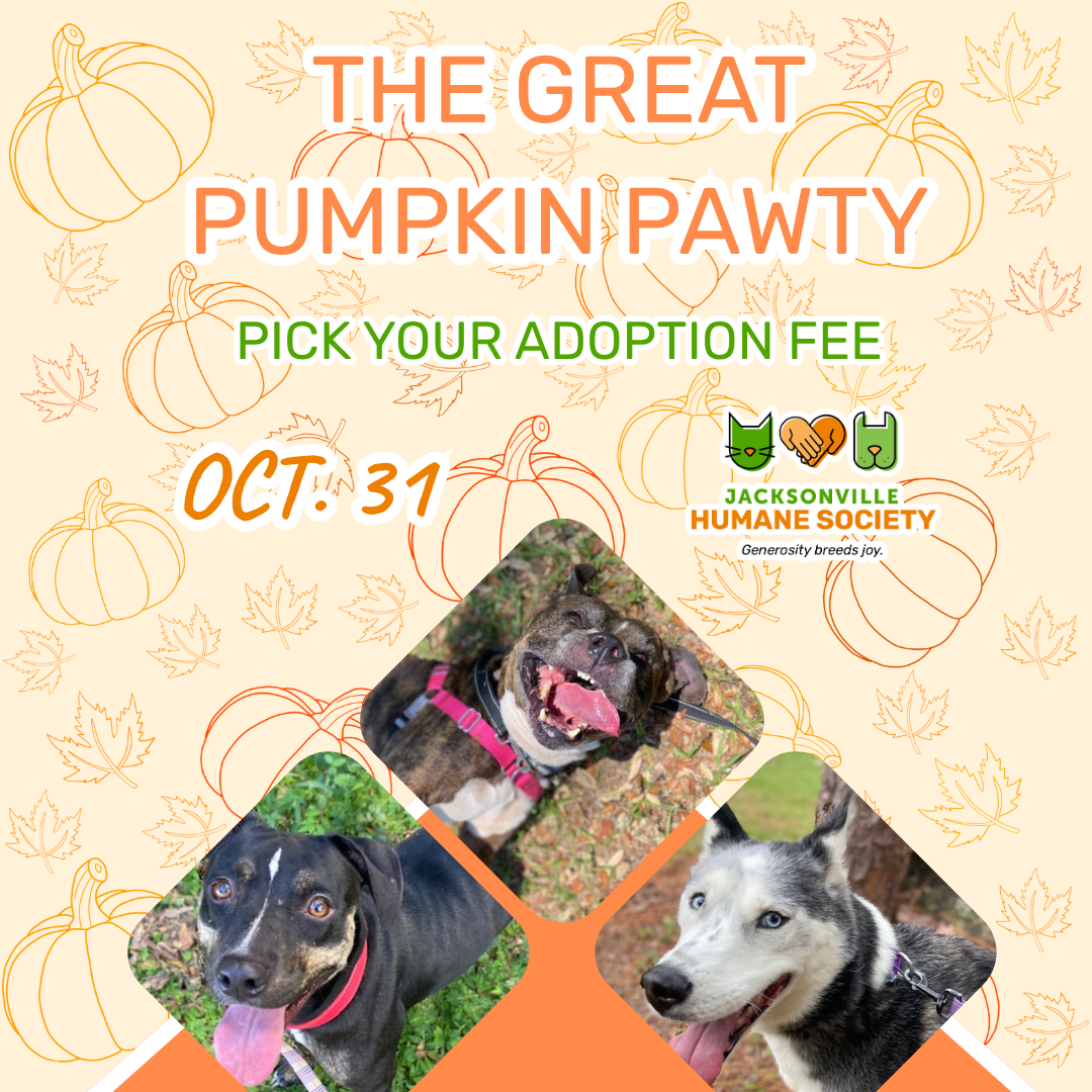 Orange and cream graphic decorated with pumpkins and autumn leaves, featuring photos of three dogs and the Jacksonville Humane Society logo. Text reads: “The Great Pumpkin Pawty. Pick your adoption fee. Oct. 31.”